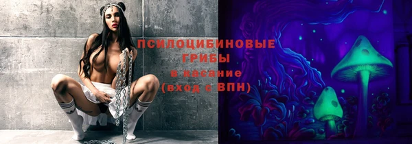 индика Приозерск