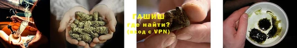 индика Приозерск
