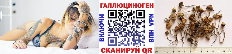 Псилоцибиновые грибы Psilocybine cubensis  Сорск 